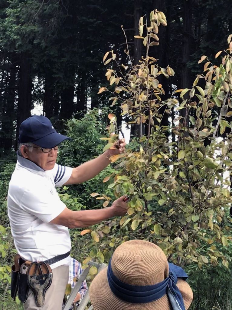 剪定 教室 つくば 果樹 03 剪定 教室 つくば 果樹 03