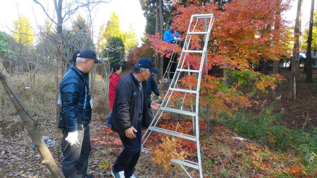 剪定 教室 大好評 05 剪定 教室 大好評 05