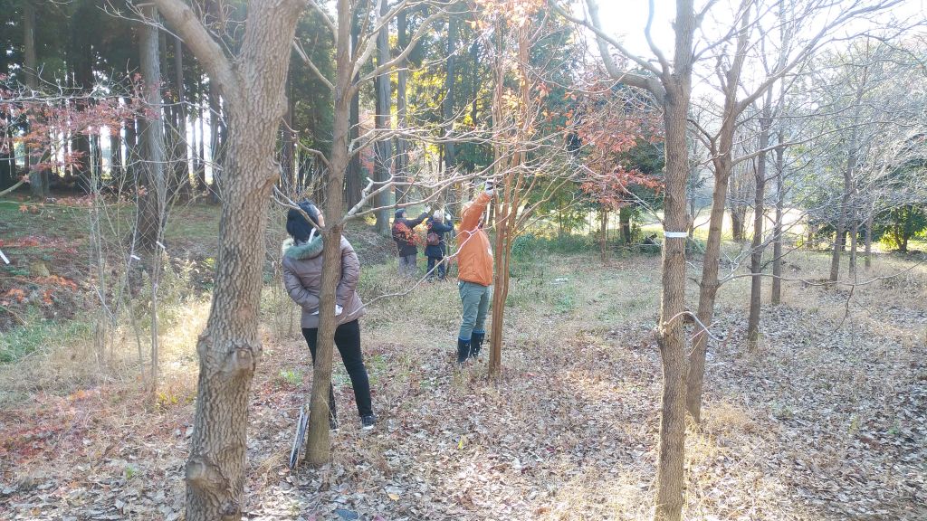 剪定 教室 大好評 06 剪定 教室 大好評 06