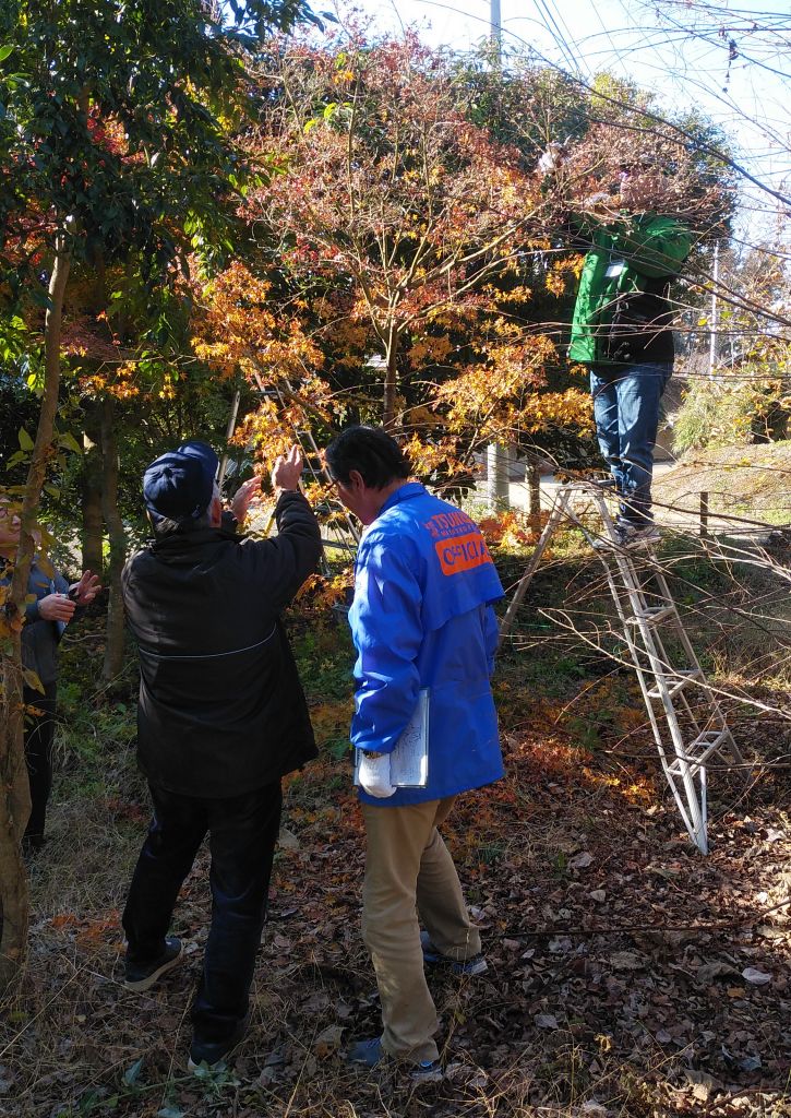 剪定 教室 大好評 09 剪定 教室 大好評 09