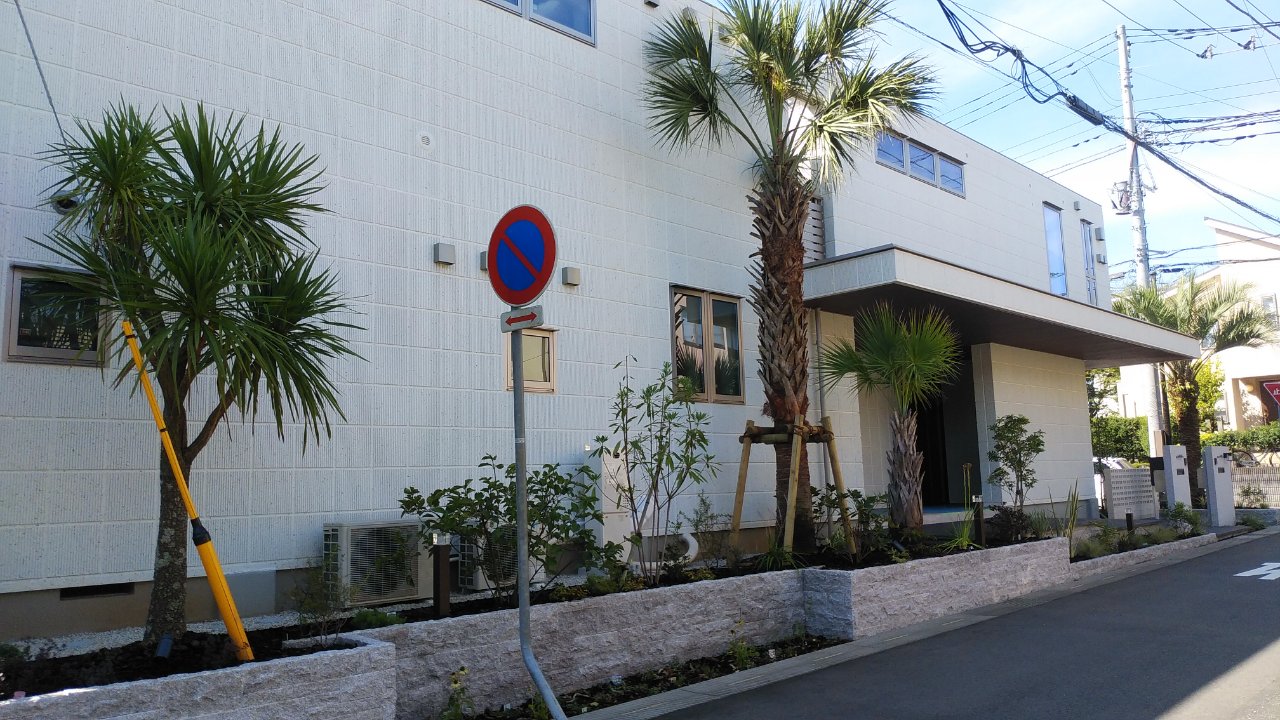 サバルヤシ サバルヤシ