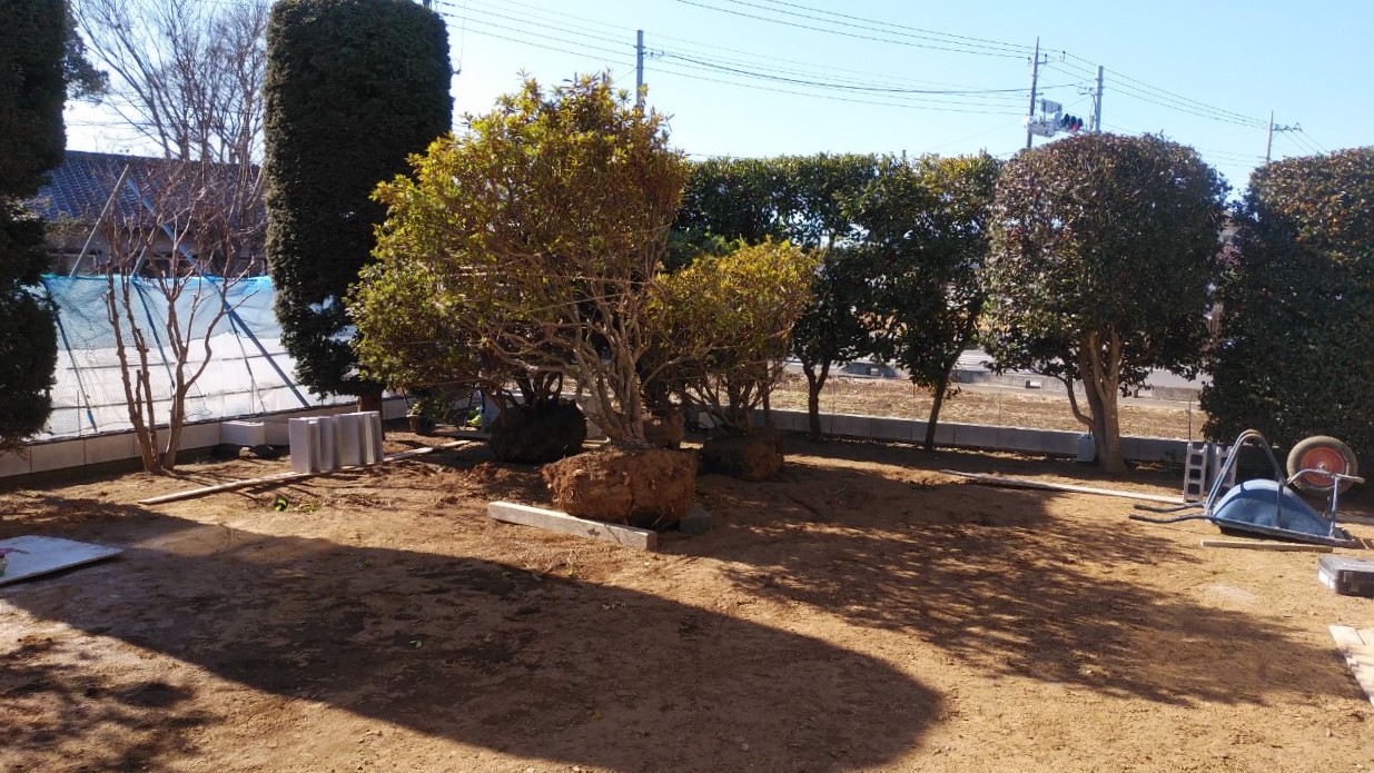 移植工事 移植工事