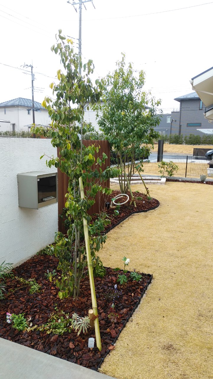 下草アレンジ 下草アレンジ