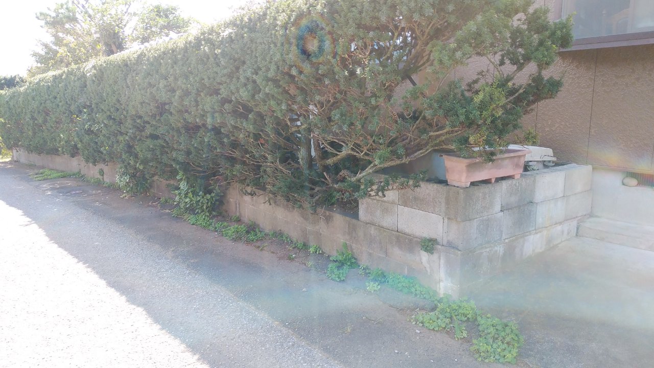 裏門 裏門