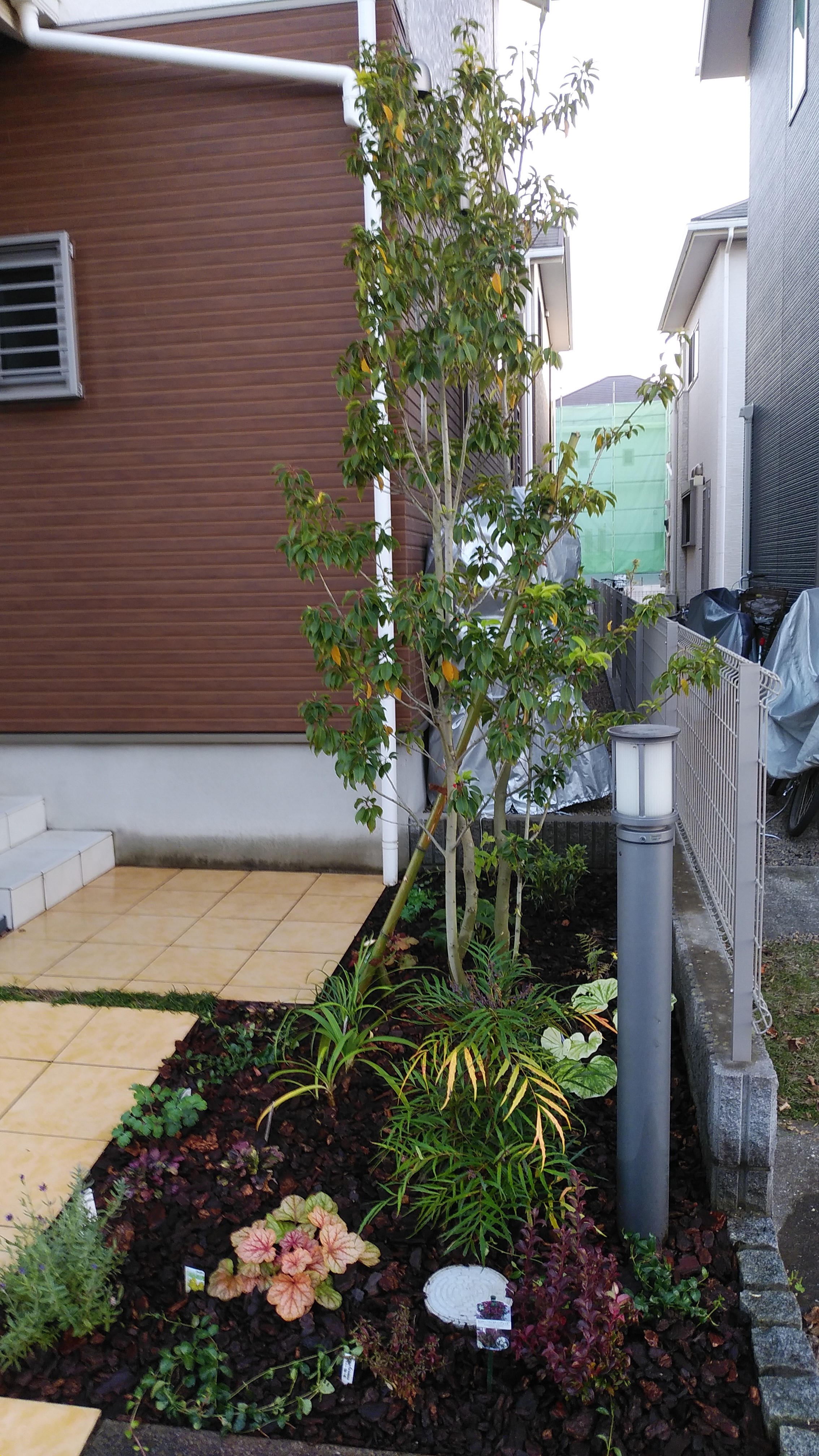 植栽 植栽