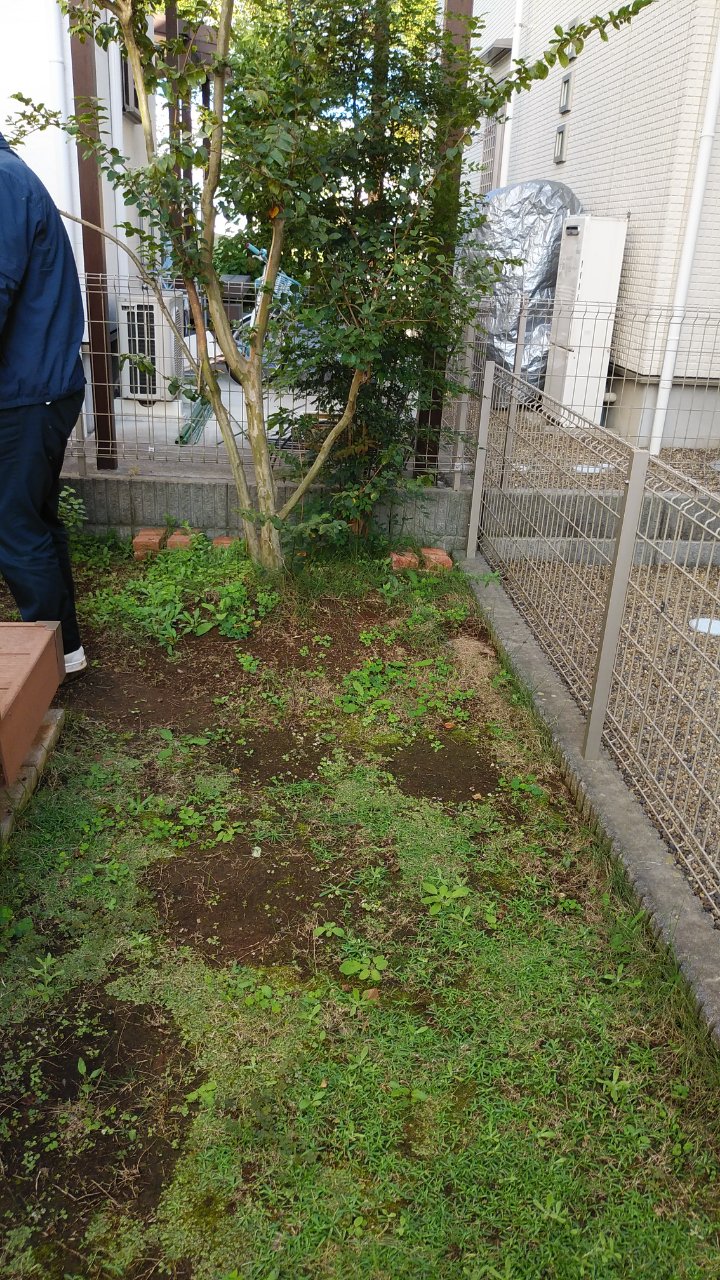 芝庭 芝庭