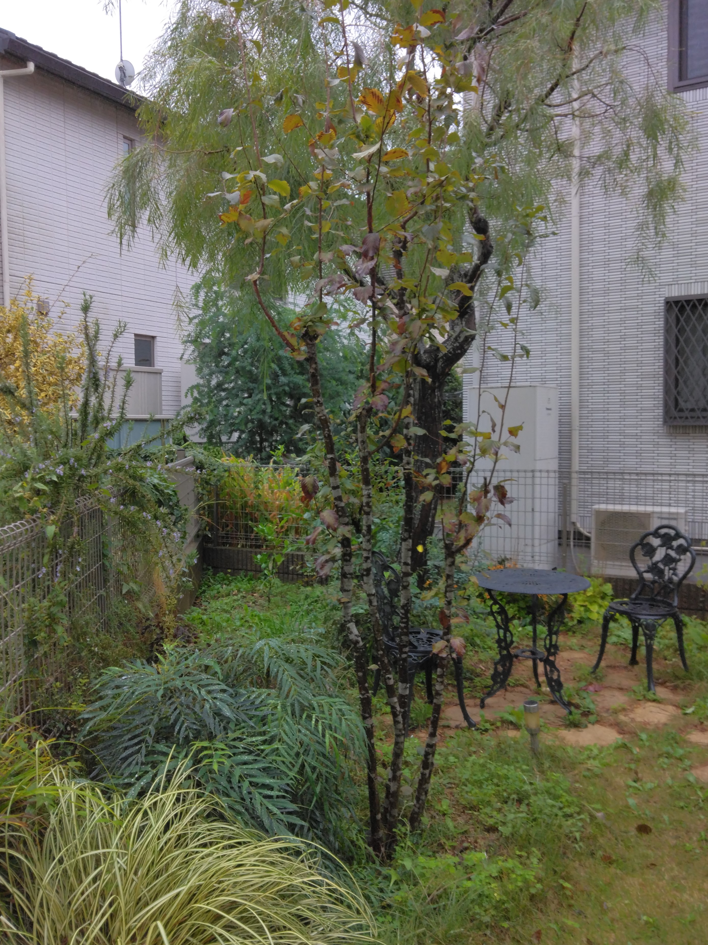 植栽 植栽