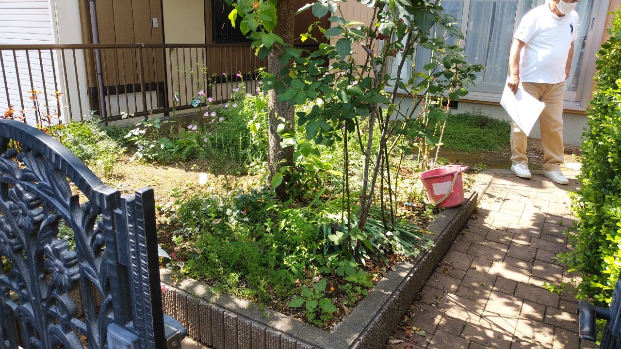 植栽 植栽
