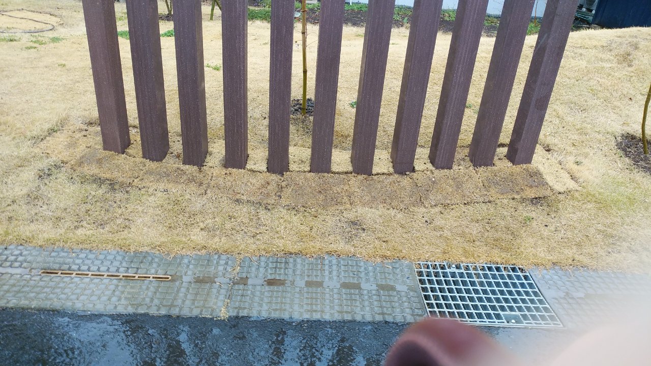 芝庭 芝庭