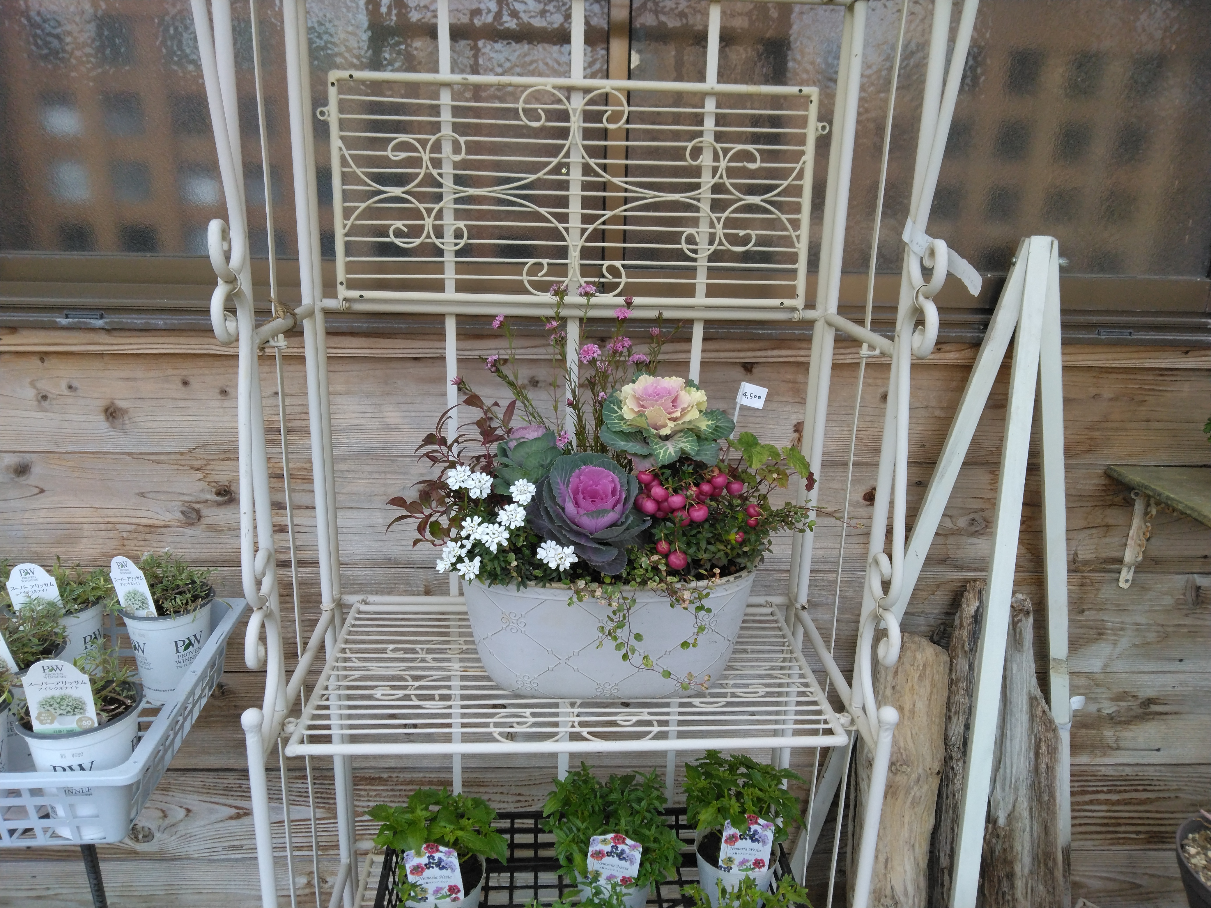 寄せ植え 寄せ植え