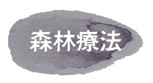 XїÖ@