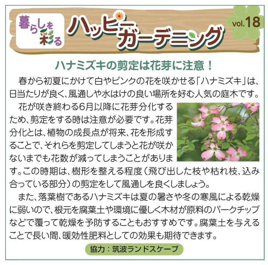 苳