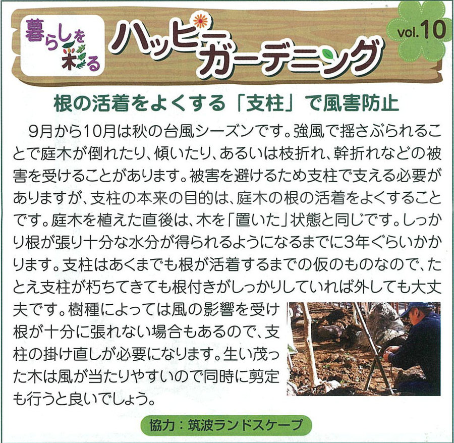 鐅˂΃VjAӂ邳ƒʐM