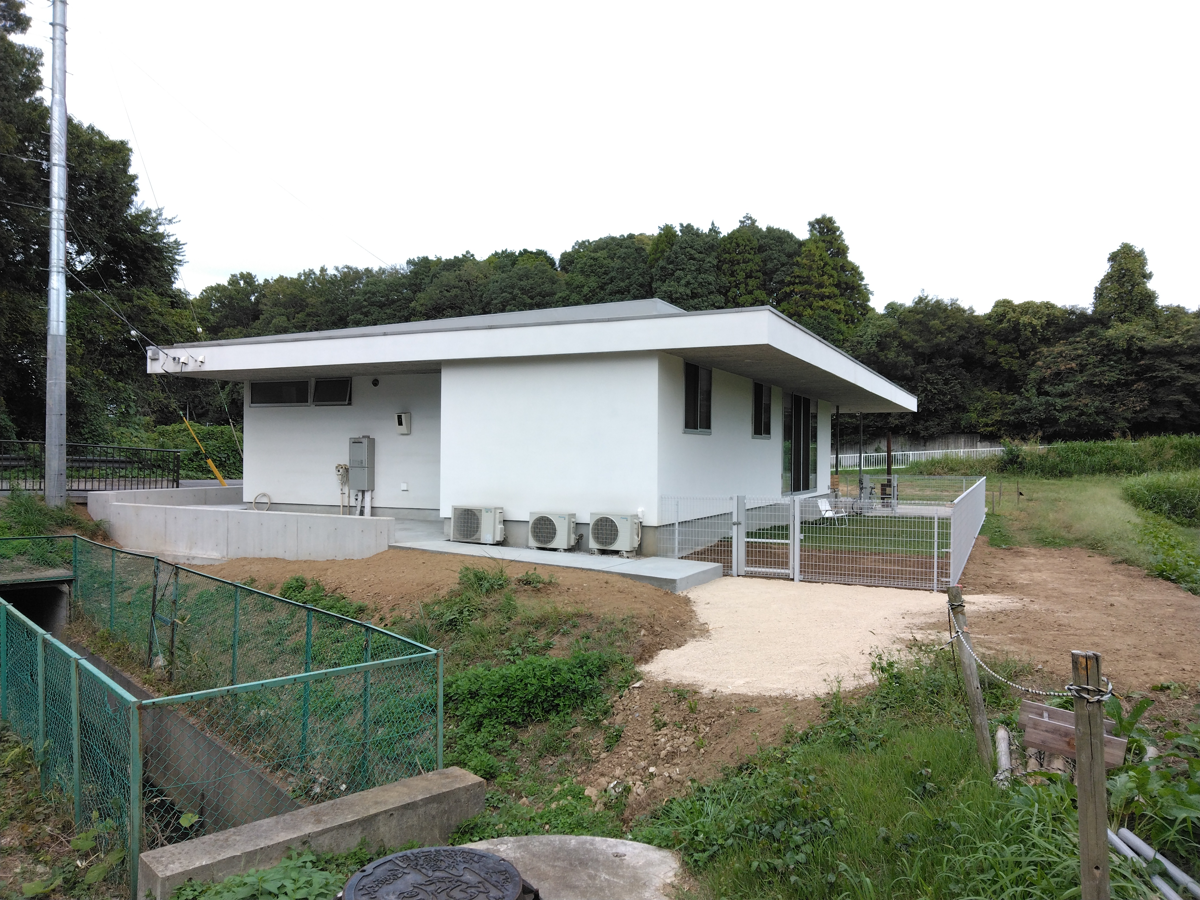 �h�b�O����