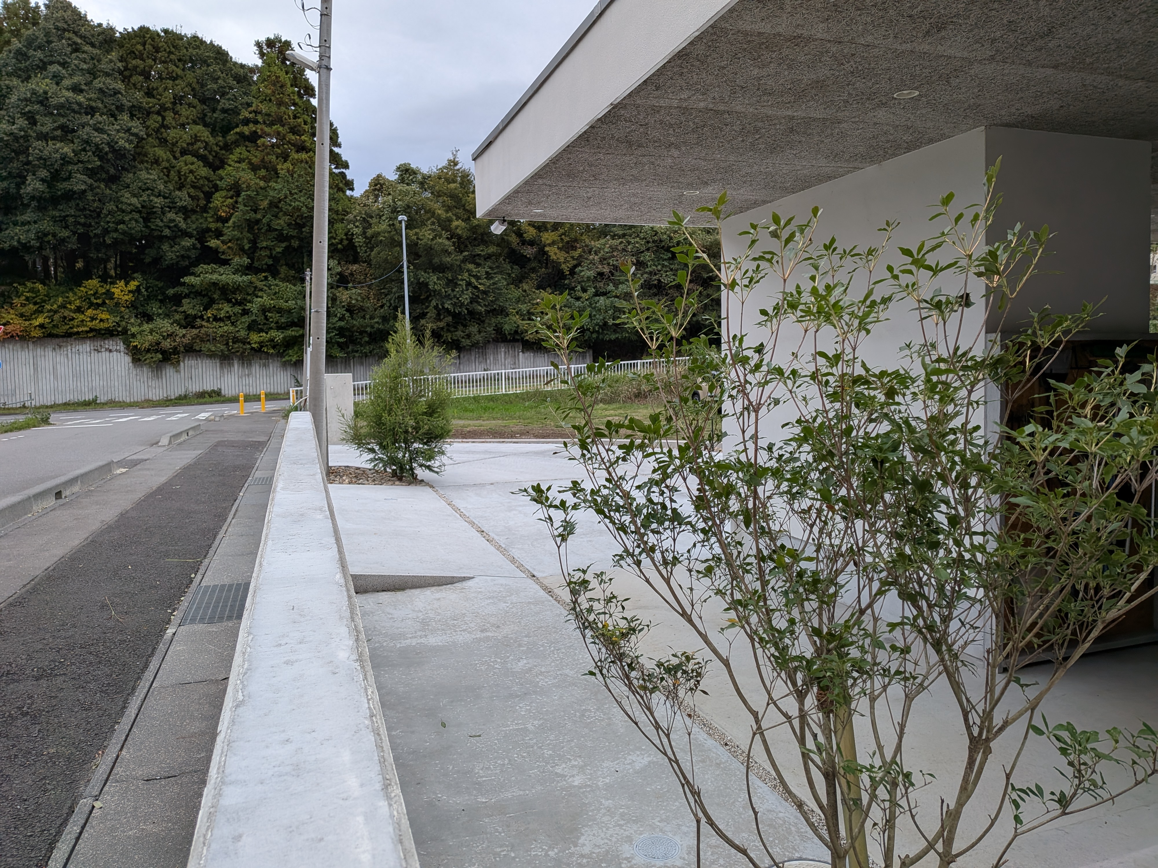 �h�E�_���c�c�W