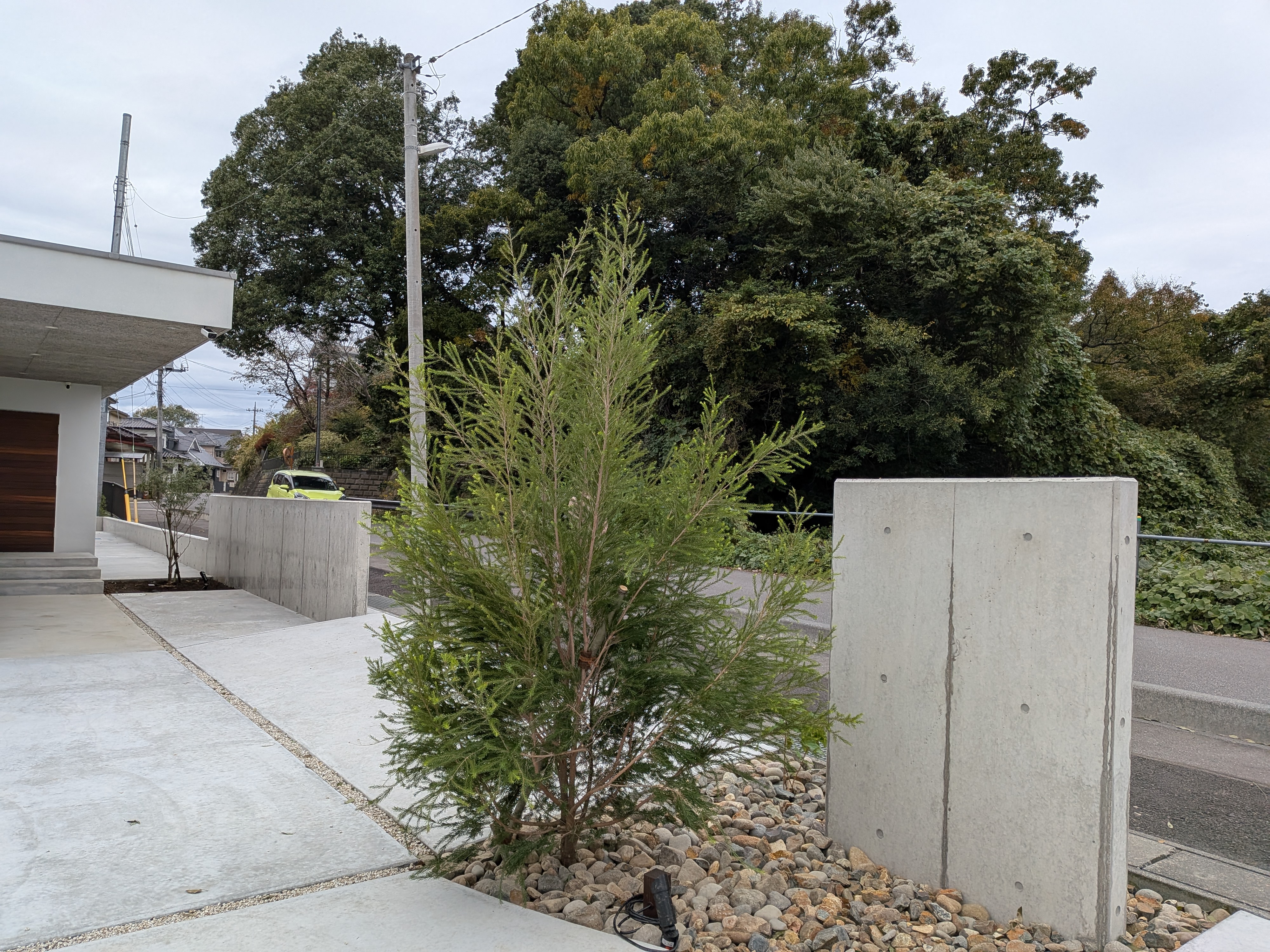 �e�B�[�c���[