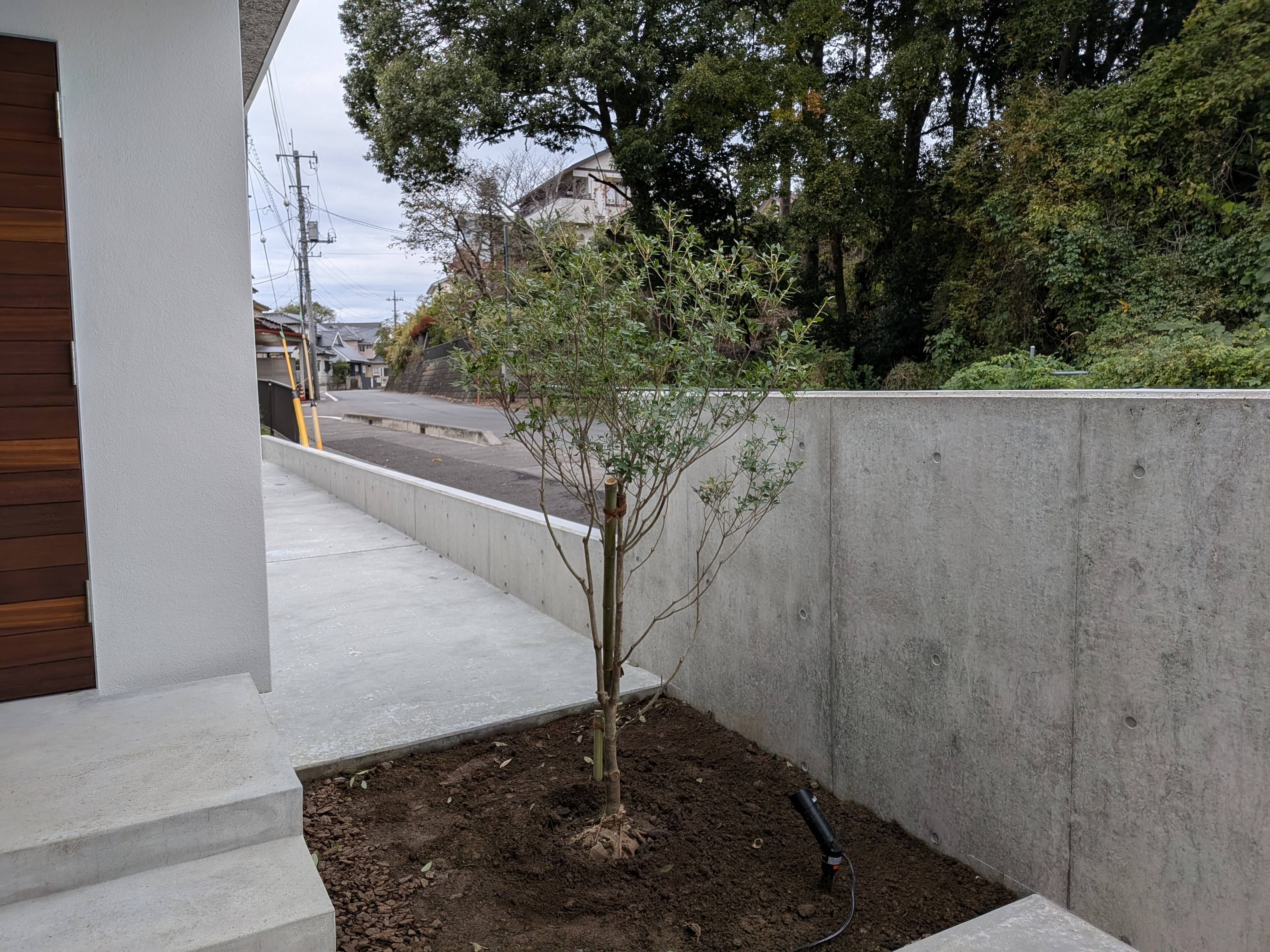 �h�E�_���c�c�W