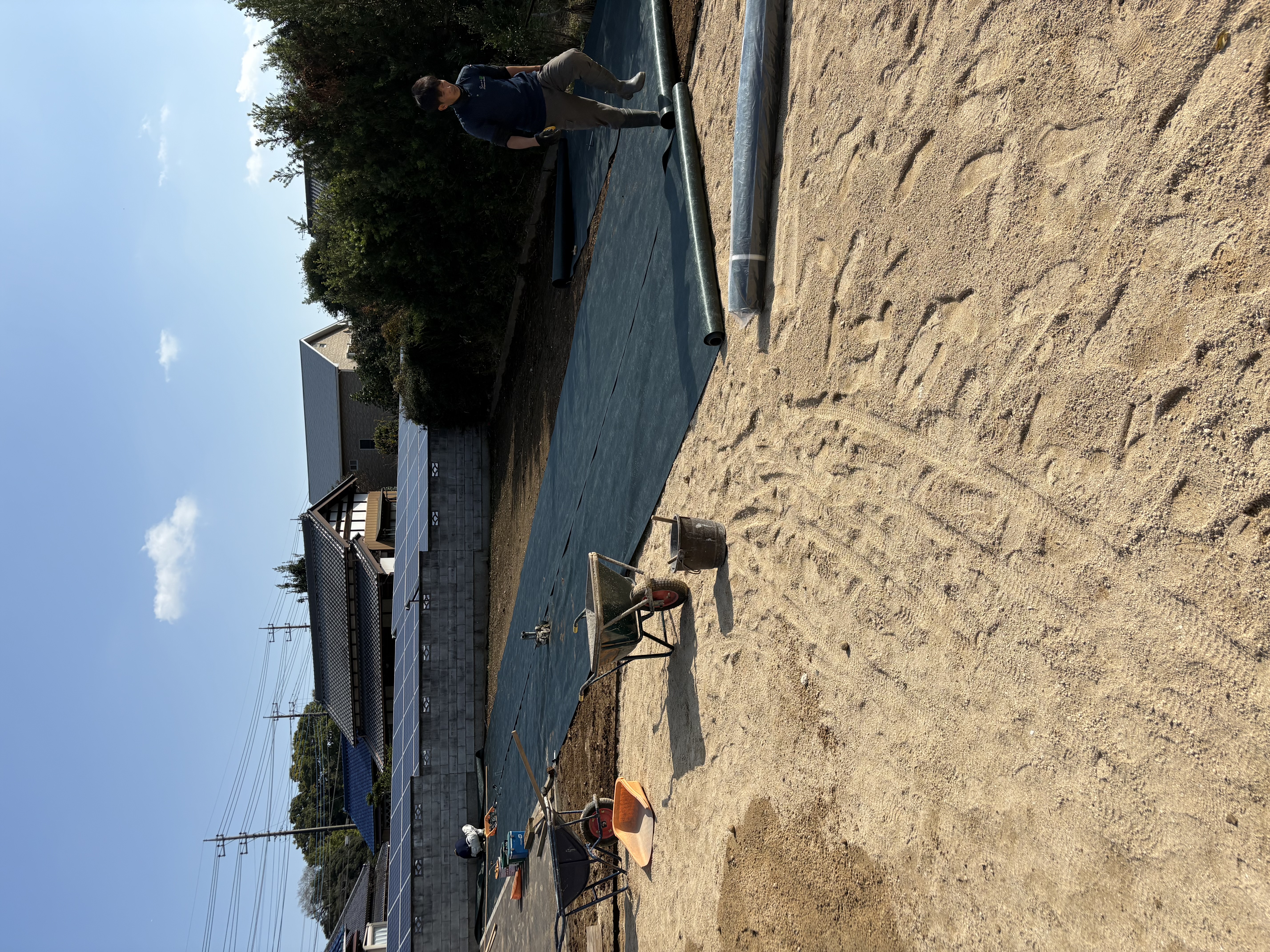 �V�[�g����