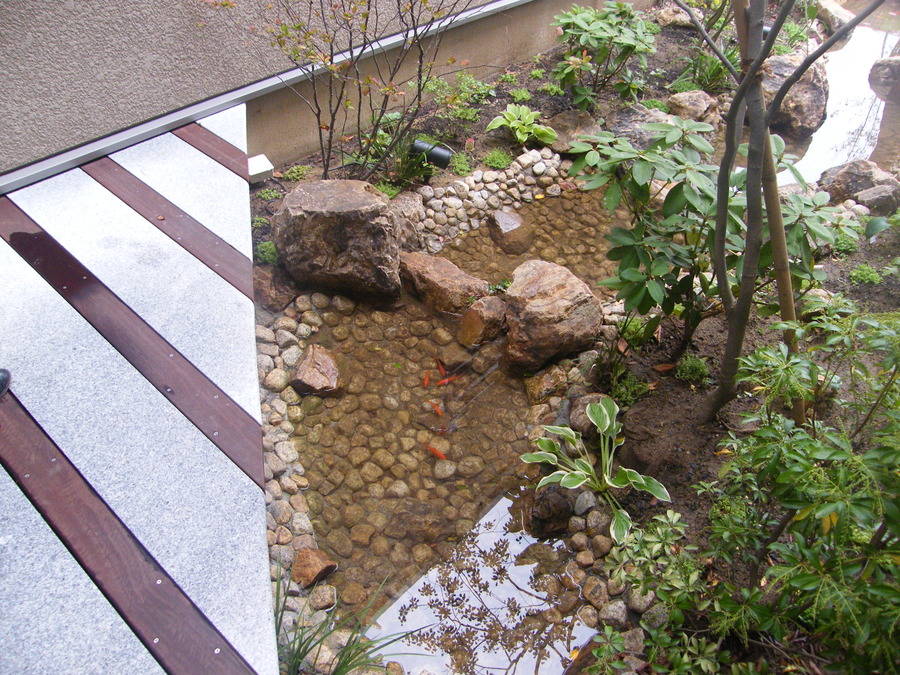 錧â炢