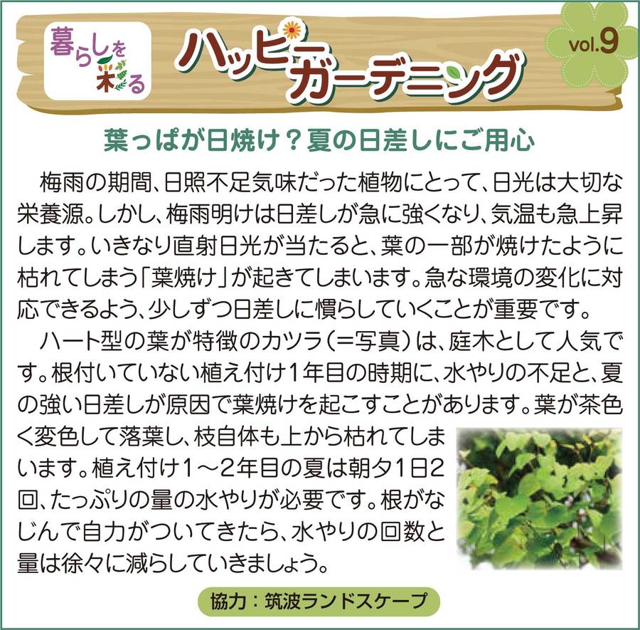 茨城栃木ガーデンライフ 茨城栃木ガーデンライフ