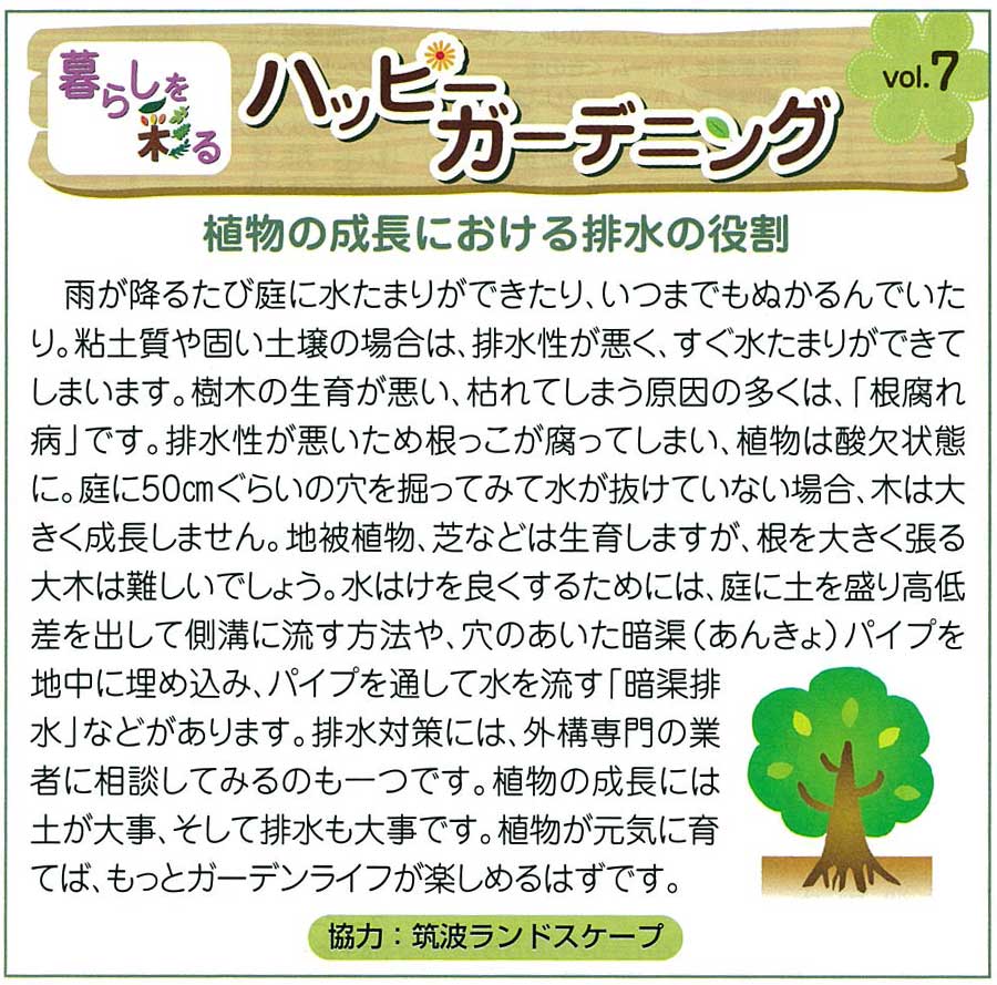 つくばみらい水戸茨城外構エクステリア つくばみらい水戸茨城外構エクステリア
