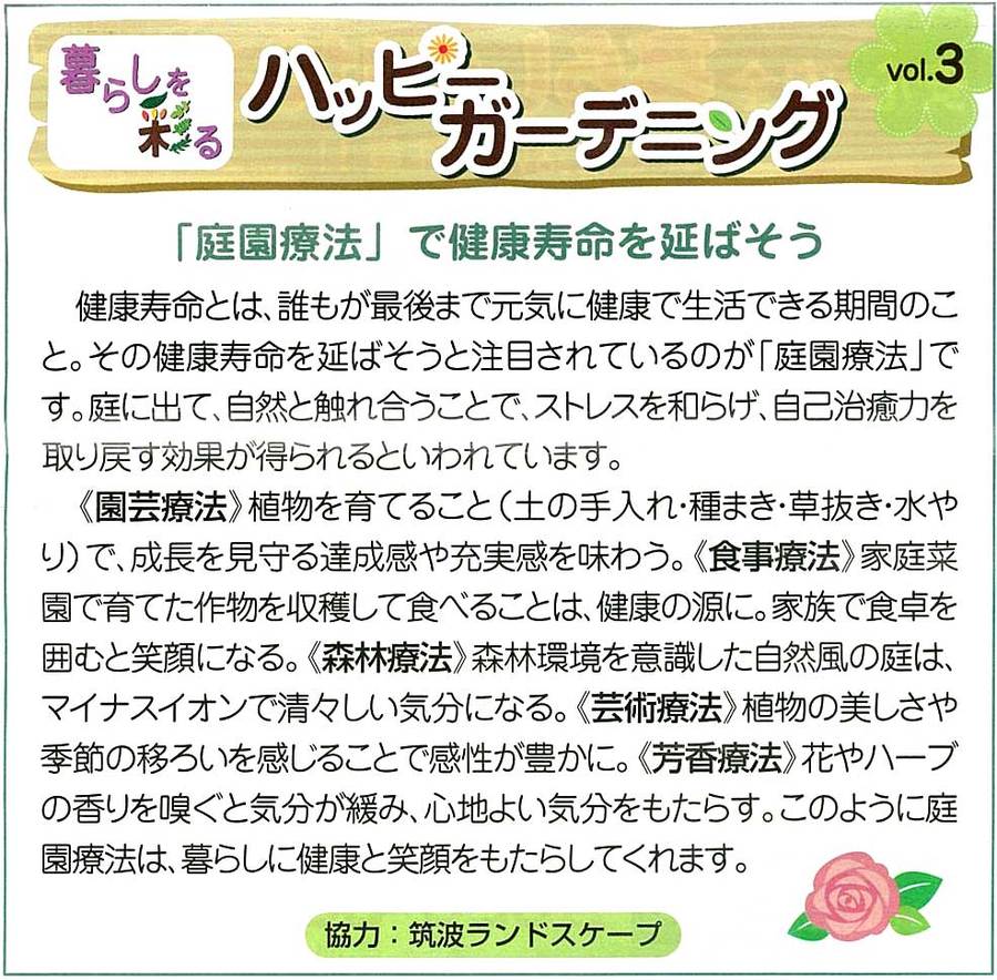 茨城守谷取手宇都宮真岡小山エクステリア庭外構 茨城守谷取手宇都宮真岡小山エクステリア庭外構