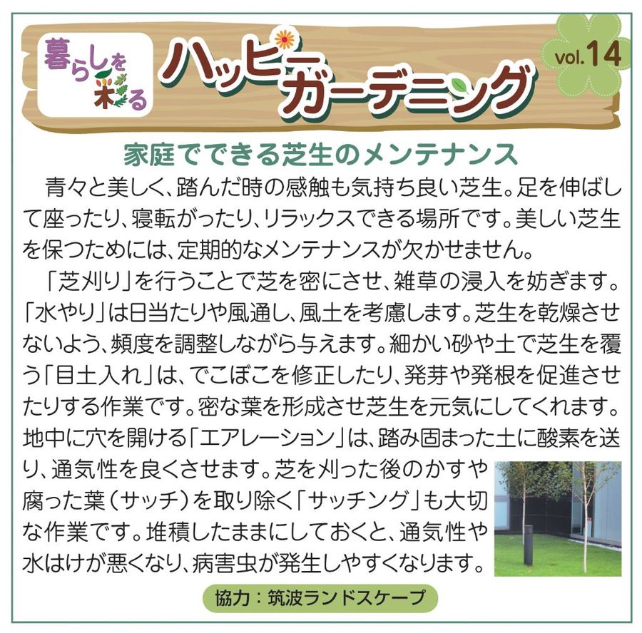 家庭でできる 家庭でできる