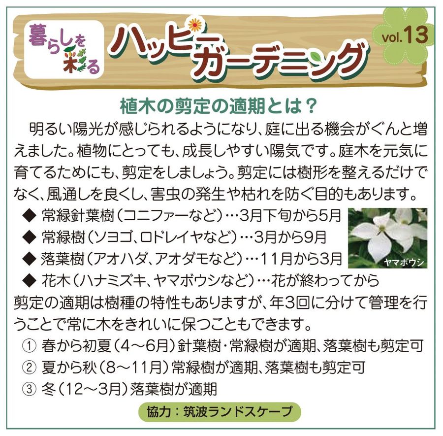庭木の剪定の適期とは 庭木の剪定の適期とは