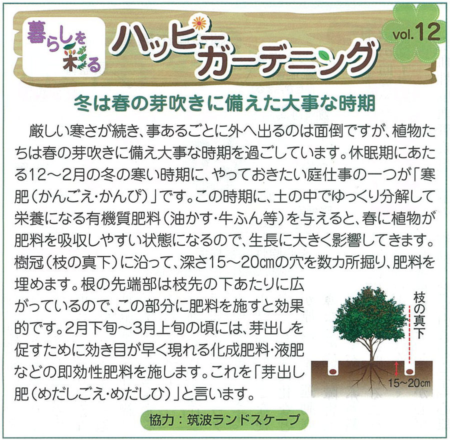 冬は春の芽吹きに備えた大事な時期 冬は春の芽吹きに備えた大事な時期